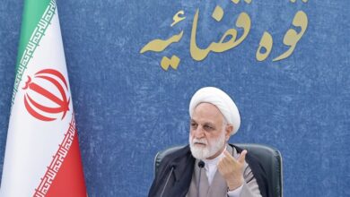 محسنی اژه‌ای کسب‌وکارهای دیجیتال